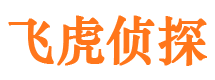 勉县市侦探调查公司